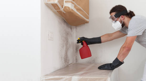 Professional Commercial Mold Remediation technician working in Perkasie, PA