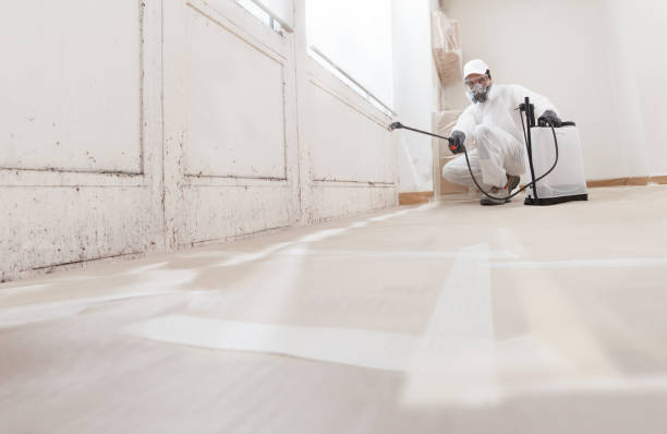 24/7 Emergency Commercial Mold Remediation experts in Perkasie, PA