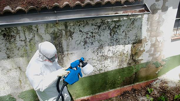 Top rated local Commercial Mold Remediation specialists in Perkasie, PA